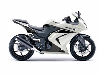 Ninja 250r white.jpg