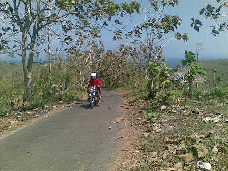 Jalan menuju pantai.jpg