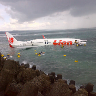 lion air image