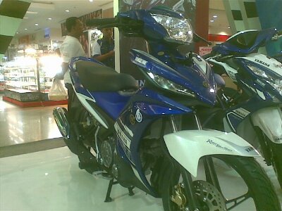 Juli 2013(055).jpg image