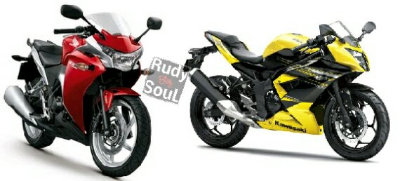 ninja mono RR vs cbr250r.jpg image