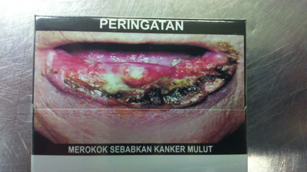 wpid-dsc_0022.jpg image