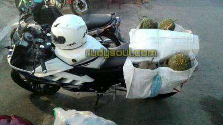 r15 bawa durian image