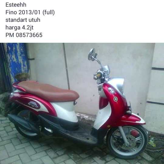 fino bekas.jpg image